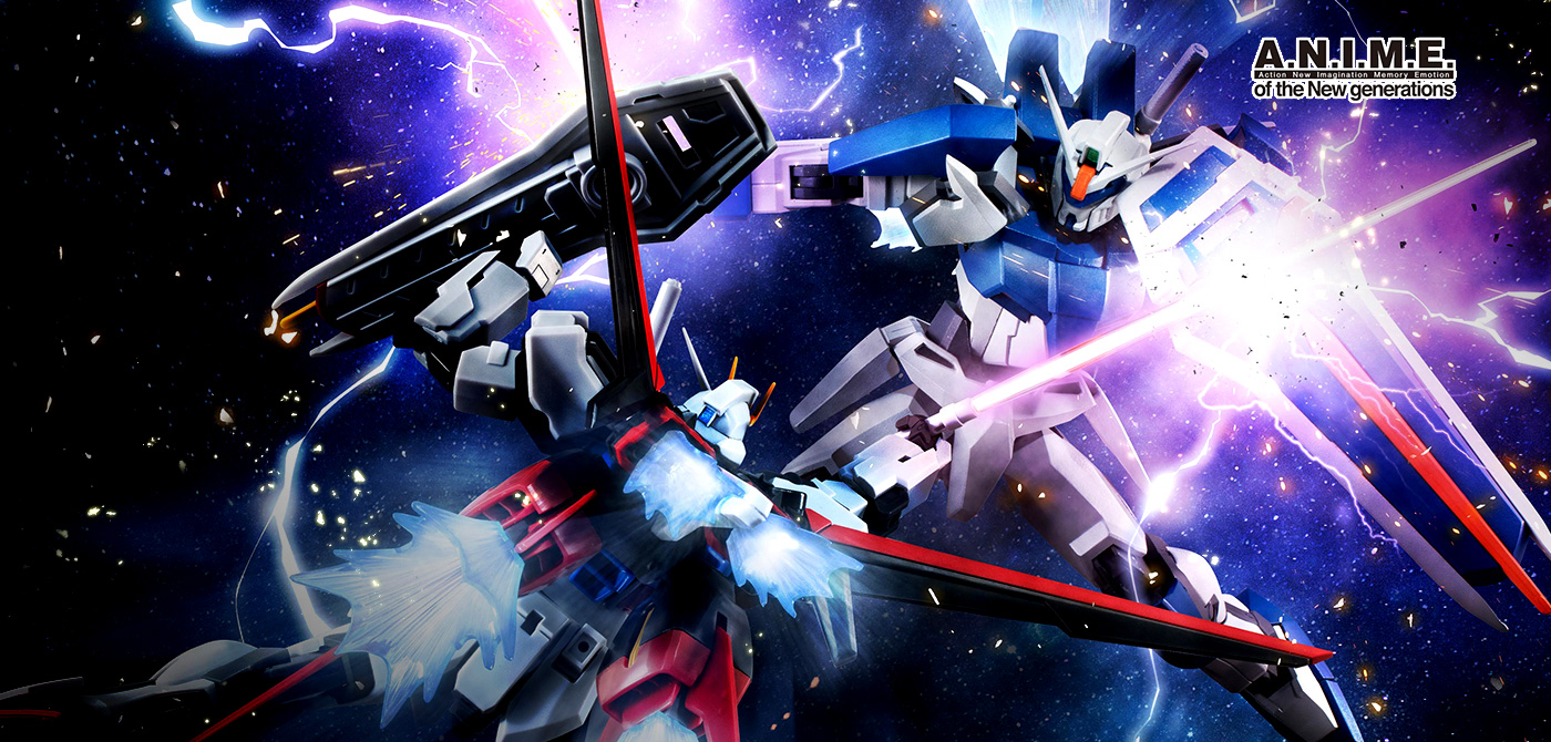 ROBOT魂 ＜SIDE MS＞ GAT-X102 デュエルガンダム ver. A.N.I.M.E.