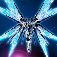 [魂ウェブ商店] 「ストライクフリーダムガンダム 光の翼オプションセット」3月2日（水）23時受注締切！