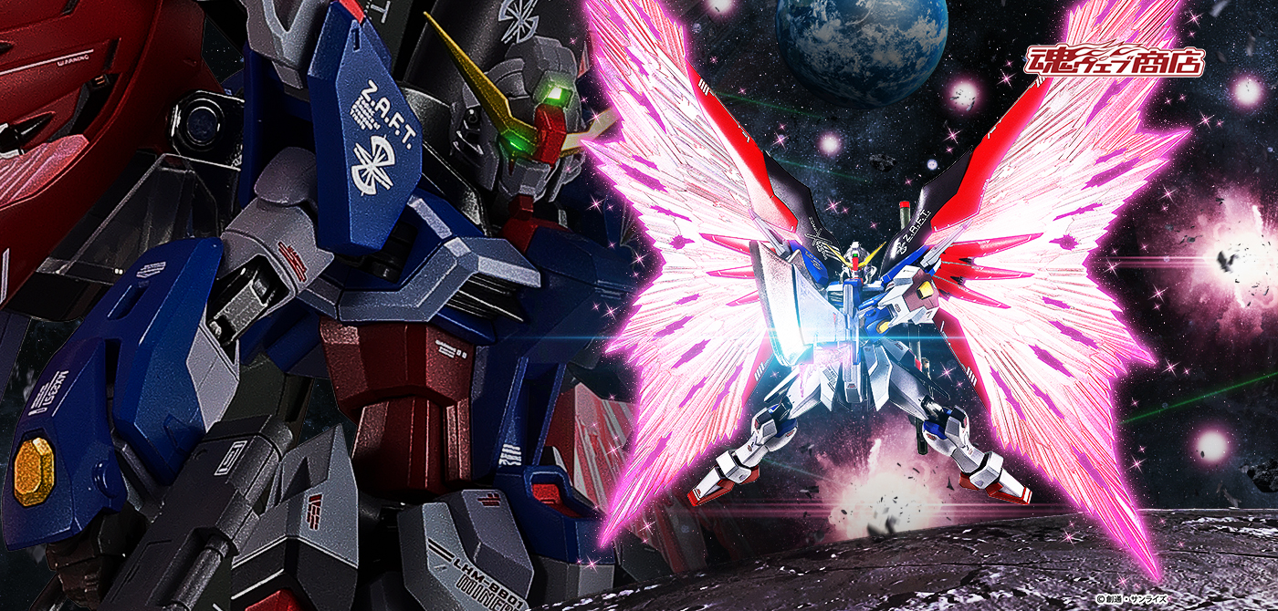 METAL ROBOT魂 ＜SIDE MS＞ デスティニーガンダム［Re:Coordinate］専用 光の翼＆エフェクトセット