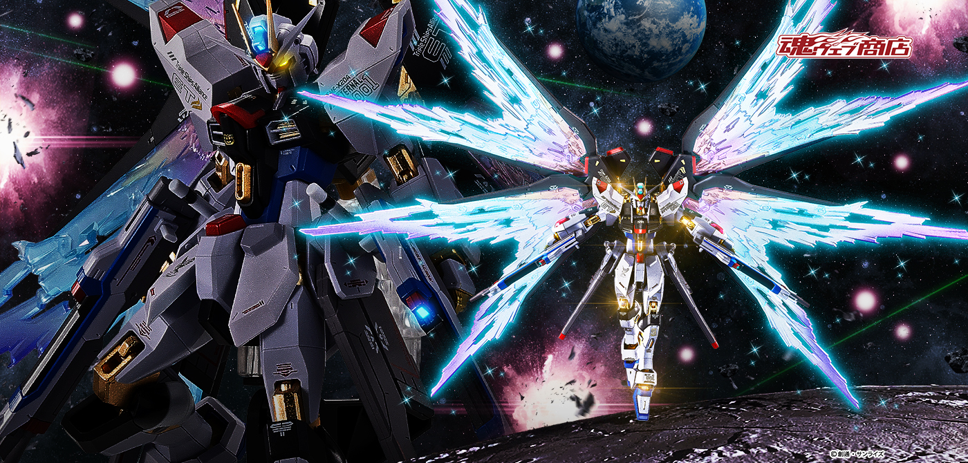 METAL ROBOT魂 ＜SIDE MS＞ ストライクフリーダムガンダム[Re:Coordinate]専用 光の翼＆ハイマットフルバーストエフェクトセット