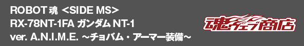 ROBOT魂 <SIDE MS> RX-78NT-1FA ガンダムNT-1 ver. A.N.I.M.E. ～チョバム・アーマー装備～