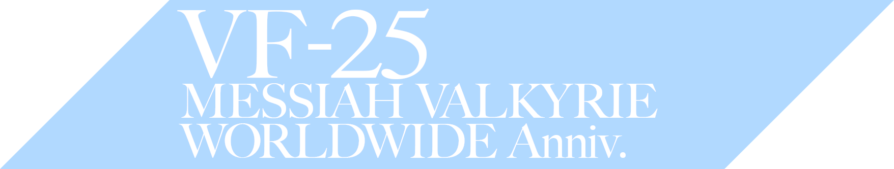 VF-25 MESSIAH VALKYRIE WORLDWIDE Anniv.